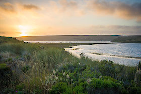Golden hour, Limantour Beach, Pt Reyes California | © Matt Giraud Photography | © Matt Giraud Photography
