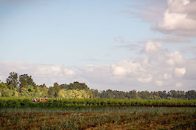 Farming with the draft horses under a painterly sky. | © Matt Giraud Photography